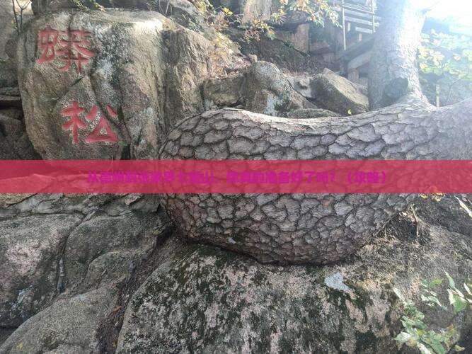 德州去张家界七星山个人游