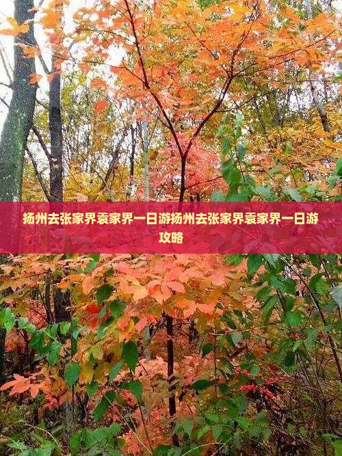 扬州去张家界袁家界一日