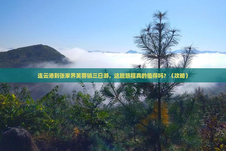 连云港到张家界芙蓉镇三日游