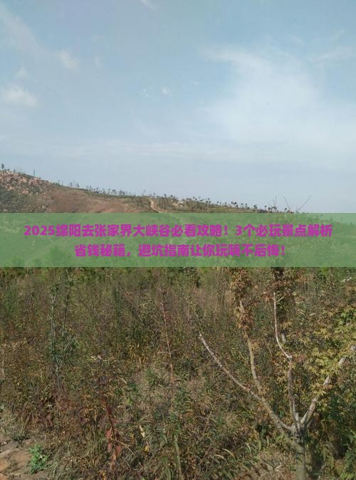绵阳去张家界大峡谷哪里玩