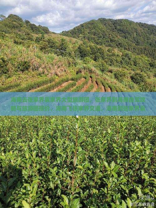 海南去张家界袁家界大型旅游团