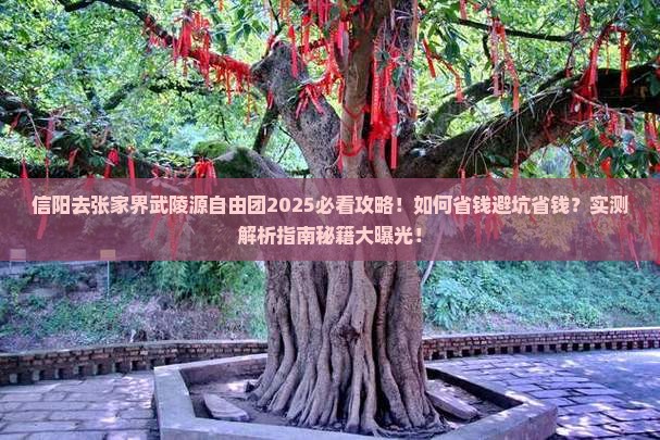 信阳去张家界武陵源自由团