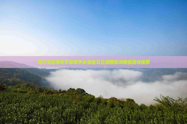 哈尔滨去张家界袁家界必去地