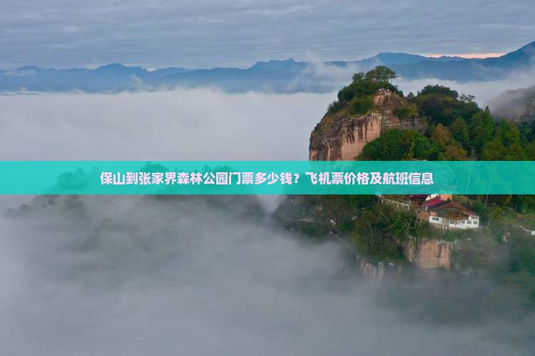 保山到张家界森林公园门票