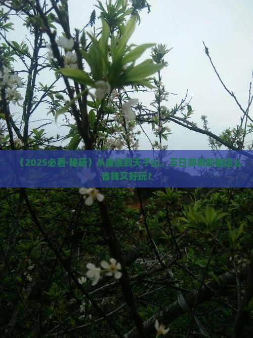 娄底去张家界天子山五日游