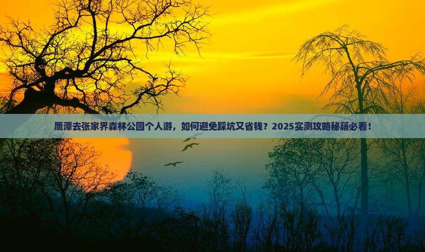 鹰潭去张家界森林公园个人游