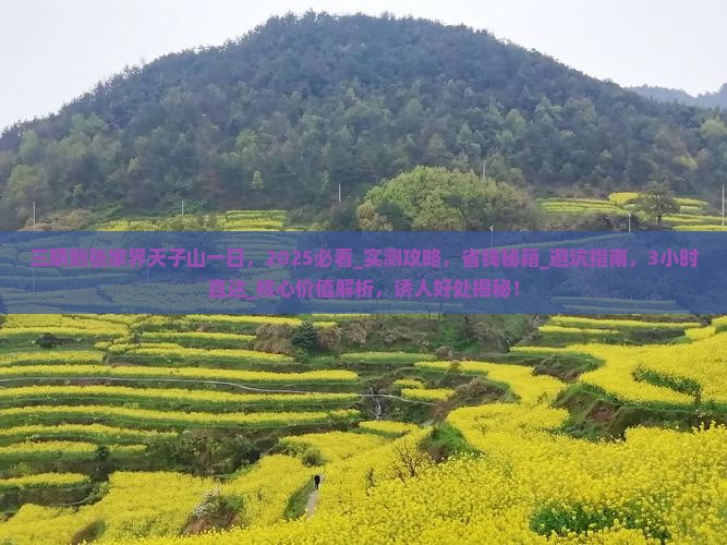 三明到张家界天子山一日