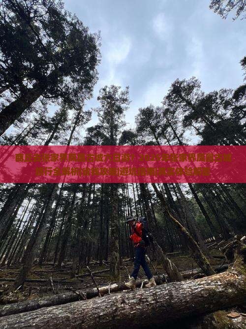 商丘去张家界凤凰古城六日游