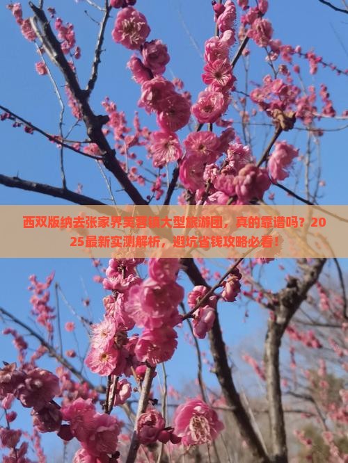 西双版纳去张家界芙蓉镇大型旅游团