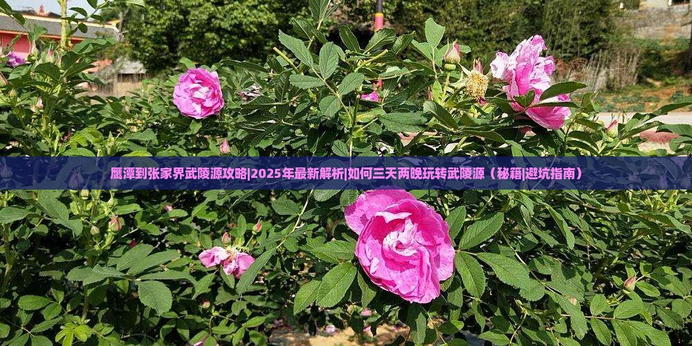 鹰潭到张家界武陵源攻略