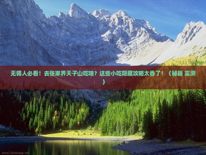 无锡去张家界天子山旅游小吃