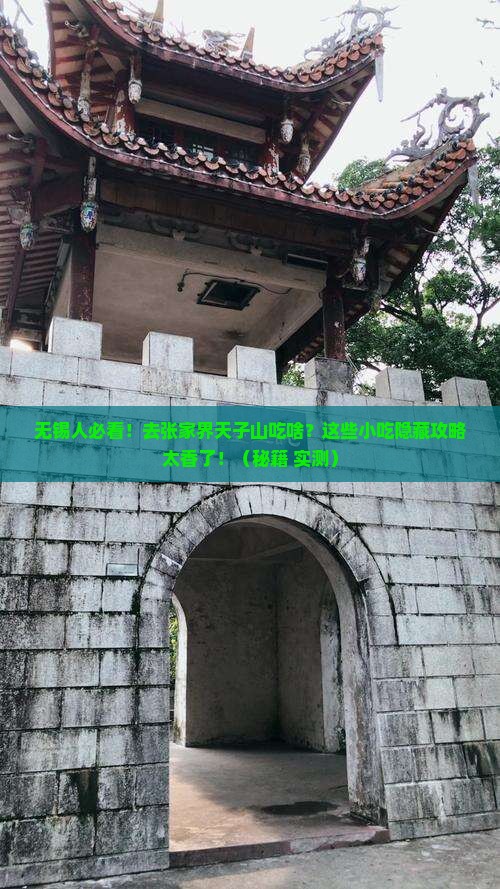 无锡去张家界天子山旅游小吃