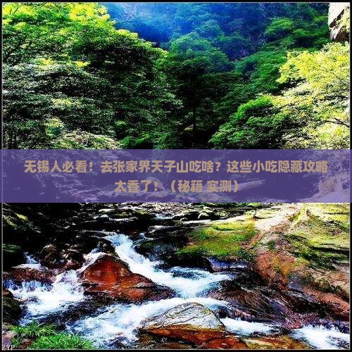 无锡去张家界天子山旅游小吃