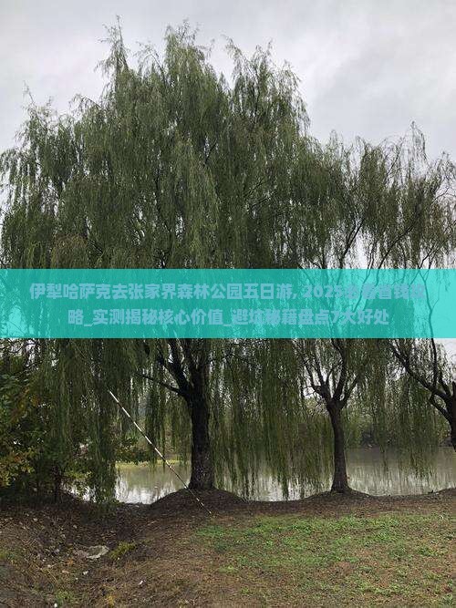 伊犁哈萨克去张家界森林公园五日游