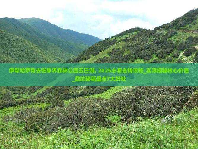 伊犁哈萨克去张家界森林公园五日游