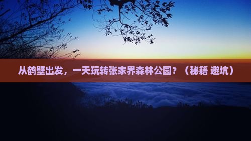 鹤壁到张家界森林公园一日