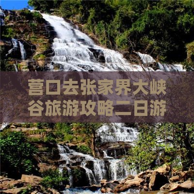 营口去张家界大峡谷二日游