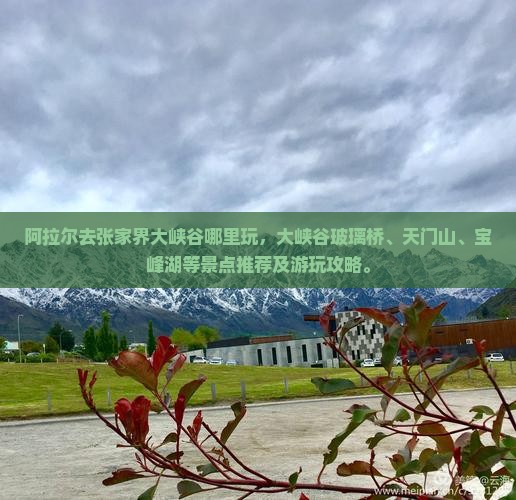 阿拉尔去张家界大峡谷哪里玩