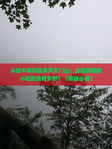 佳木斯到张家界天门山旅游小吃