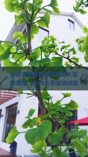 保定去张家界玻璃栈道大型旅游团
