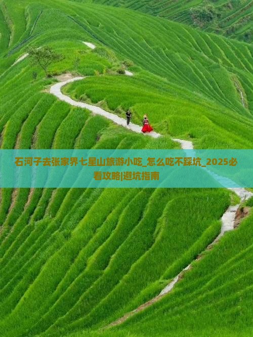 石河子去张家界七星山旅游小吃