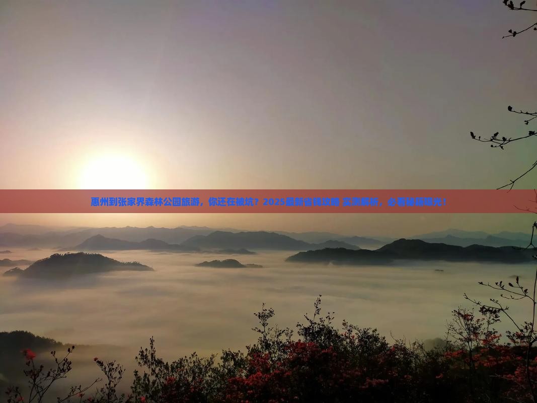 惠州到张家界森林公园旅游