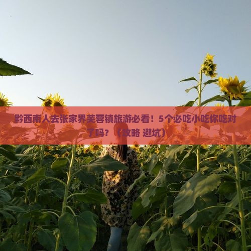 黔西南去张家界芙蓉镇旅游小吃