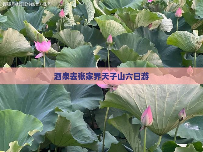 酒泉去张家界天子山六日游