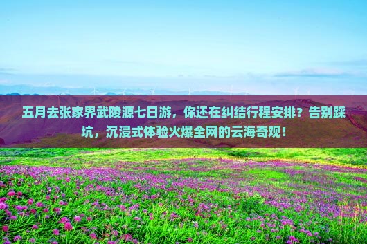 五月去张家界武陵源七日游