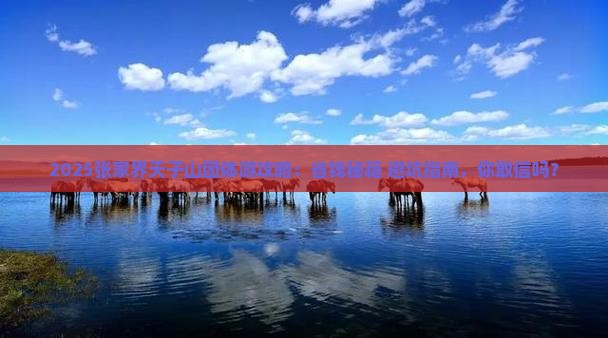 白城去张家界天子山团体旅游