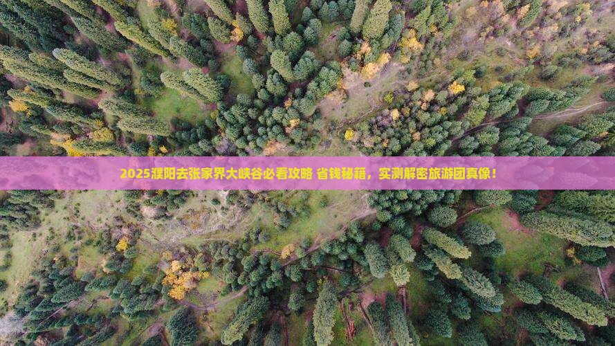 濮阳去张家界大峡谷大型旅游团