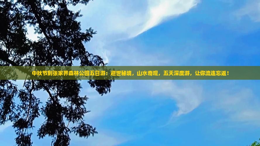 中秋节到张家界森林公园五日游