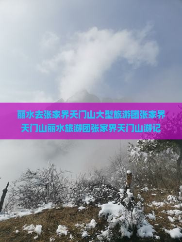 丽水去张家界天门山大型旅游团