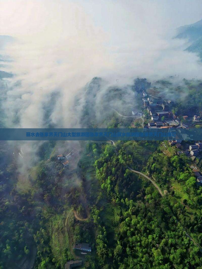 丽水去张家界天门山大型旅游团