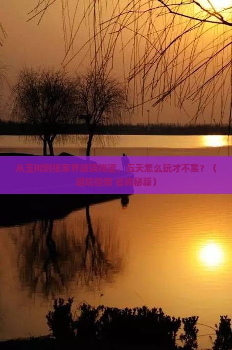玉树去张家界玻璃栈道五日游