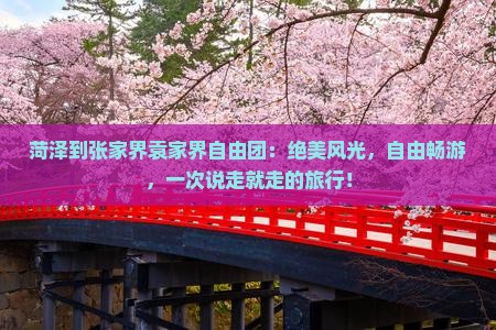 菏泽到张家界袁家界自由团