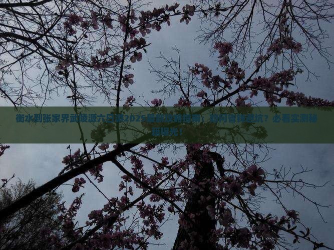 衡水到张家界武陵源六日游