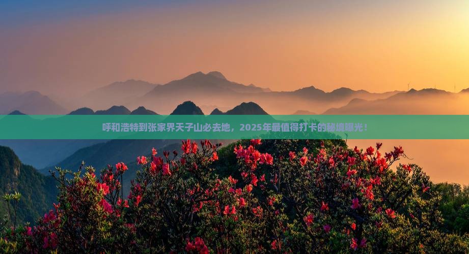 呼和浩特到张家界天子山必去地