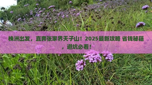 株洲去张家界天子山景点
