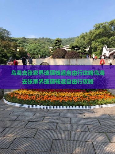 乌海去张家界玻璃栈道自由行