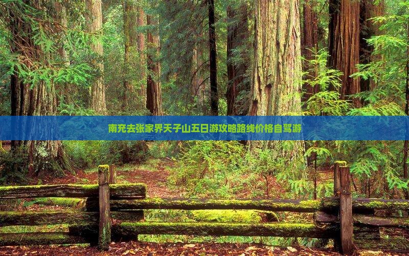 南充去张家界天子山五日游