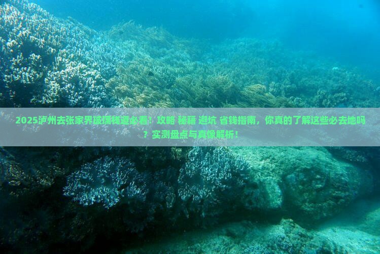 泸州去张家界玻璃栈道必去地