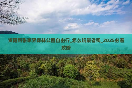 资阳到张家界森林公园自由行 资阳到张家界森林公园自由行