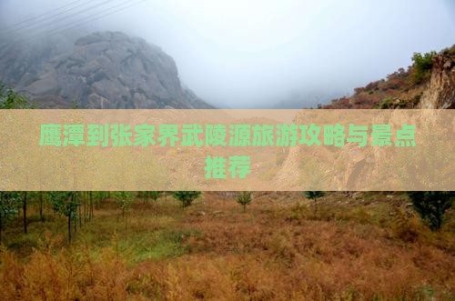鹰潭到张家界武陵源哪里玩