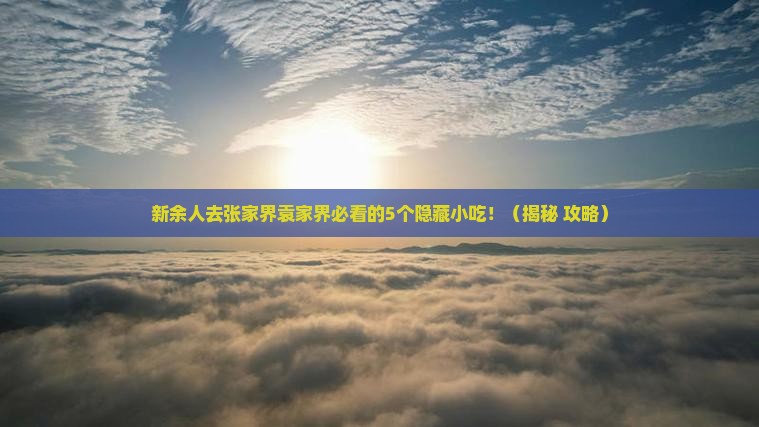 新余去张家界袁家界旅游小吃
