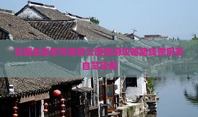 无锡去张家界森林公园旅游