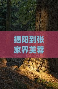揭阳到张家界芙蓉镇景点