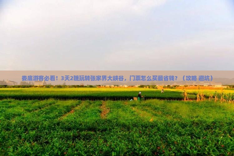 娄底到张家界大峡谷门票