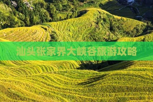 汕头到张家界大峡谷自由团