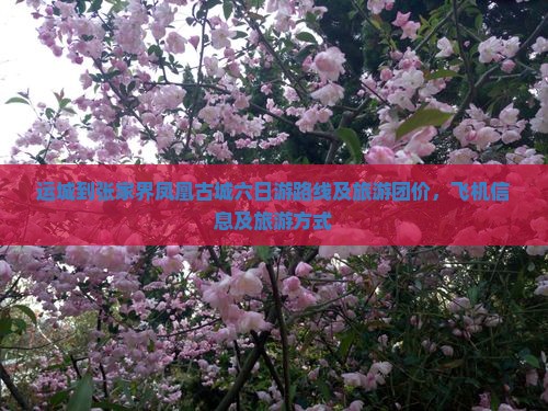 运城到张家界凤凰古城六日游